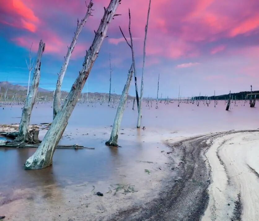 威乐环球|非洲社区“智”解水困局!威乐智能水泵如何改写萨菲公园的“渴”望?(图2) 水泵维修技术_智能水泵系统_雨水再利用解决方案