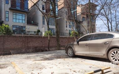 公司过户异地车辆需要什么手续费