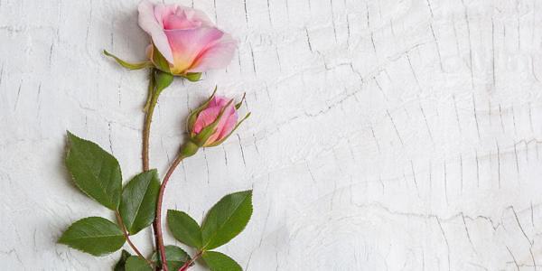 2025抚州市厂房装修公司排名(实力排行榜)