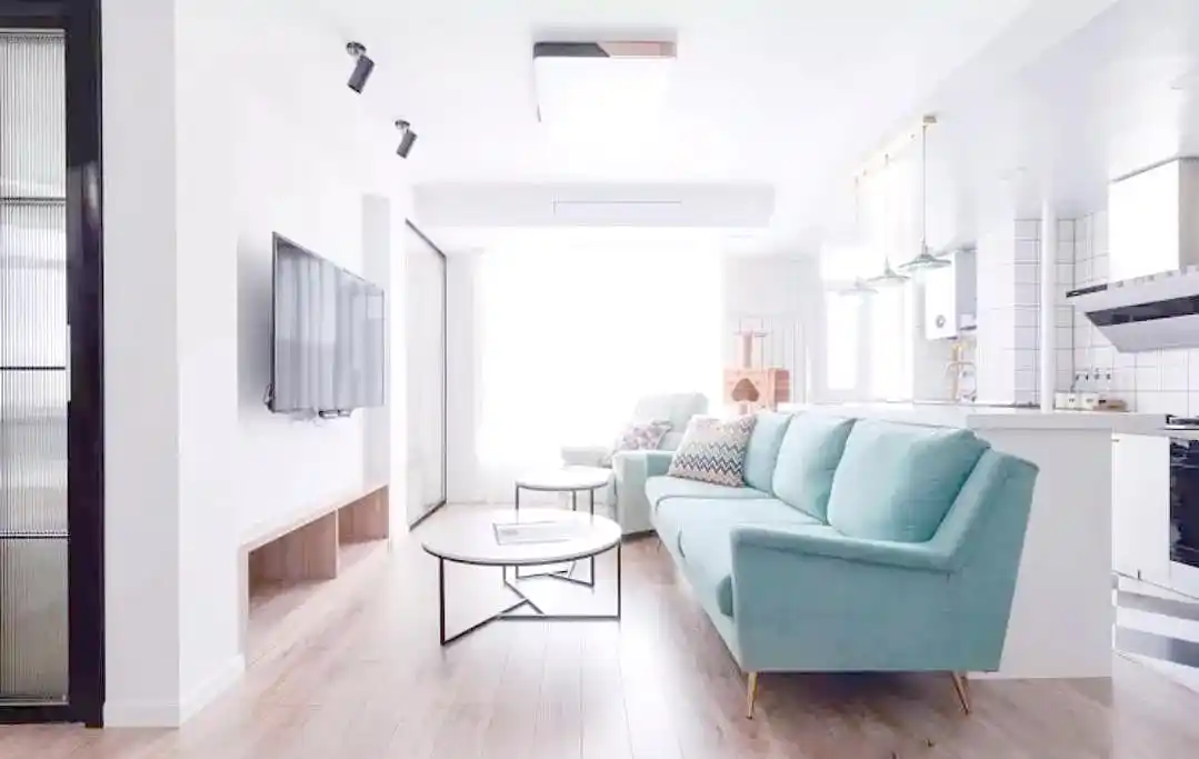 小户型客厅设计优化:实用与美学的完美结合(图2) 小户型客厅装饰效果图_小户型客厅设计灵感_简约北欧风格小户型客厅