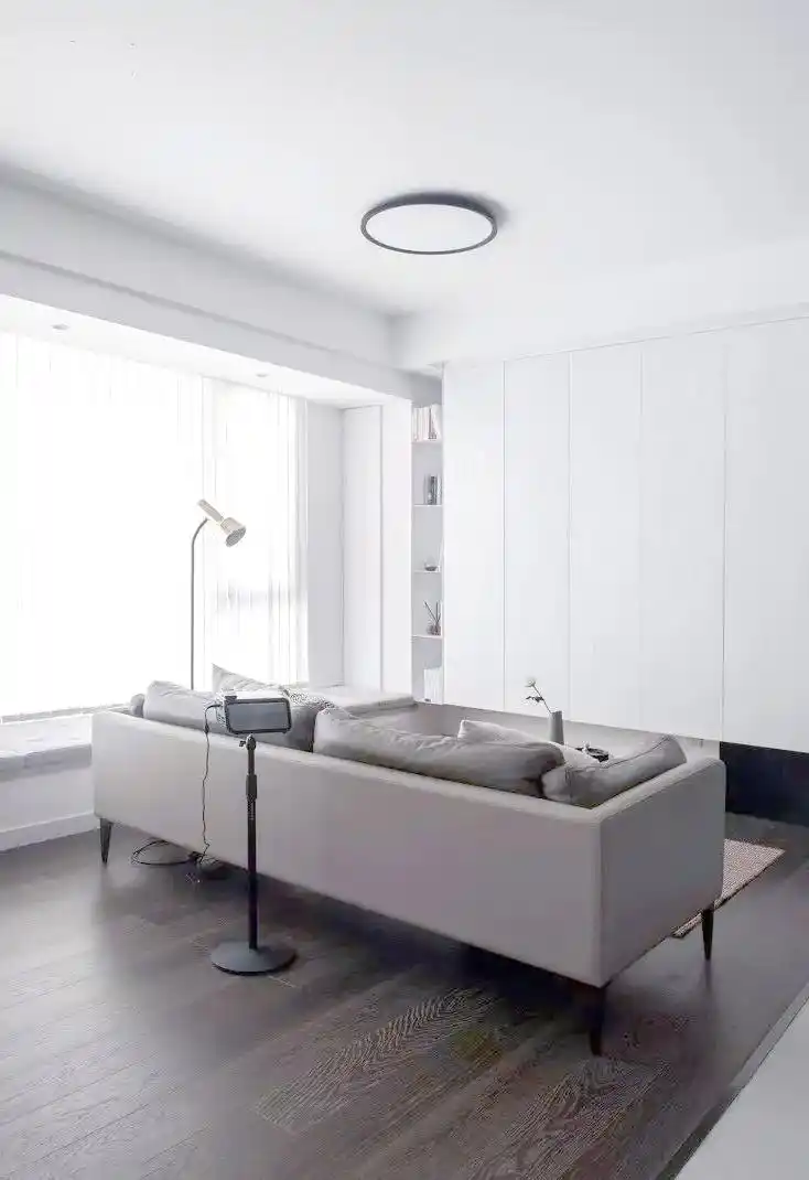 小户型客厅设计优化:实用与美学的完美结合(图7) 简约北欧风格小户型客厅_小户型客厅设计灵感_小户型客厅装饰效果图