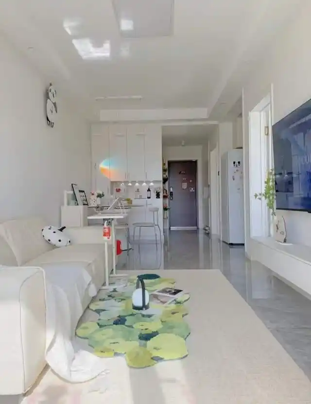 发现一位网友的家,因“穷装”而走红,耐看又实用,引来邻居的羡慕(图15) 简约舒适家_小户型客厅装饰效果图_小户型实用装修设计