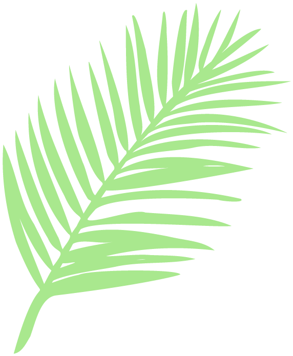 青年研究中心 | 关于北京语言大学本科生绿色消费状况的调研