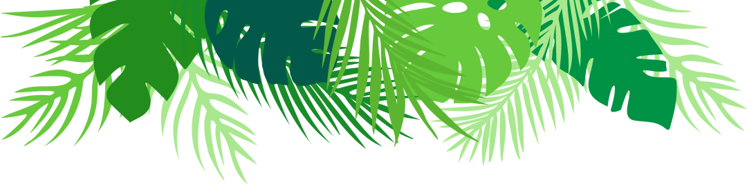 青年研究中心 | 关于北京语言大学本科生绿色消费状况的调研(图2) 绿色消费_大学生绿色消费行为_绿色消费理念对城市居民生活方式影响研究