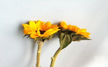 一、员工应该遵守哪些劳动纪律