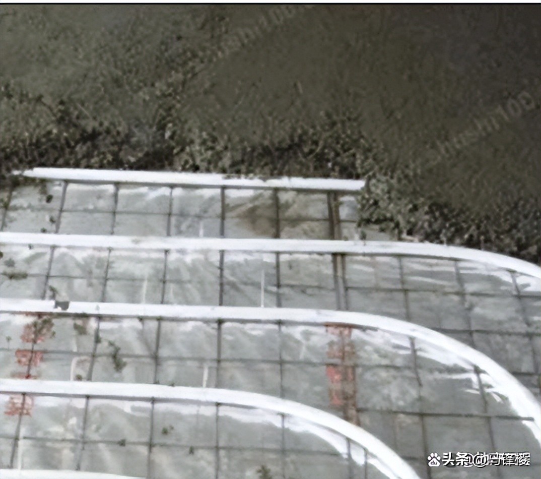 家装地暖系统原理及施工工艺(图11) 家装地暖好不好_地暖系统原理_地暖系统组成部分