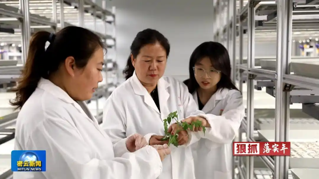 密云科技型中小企业“乘风破浪”的背后,是这些硬核操作在撑腰(图5) 密云区科委精准服务科技企业_中小型科技企业_密云区科技型中小企业发展政策