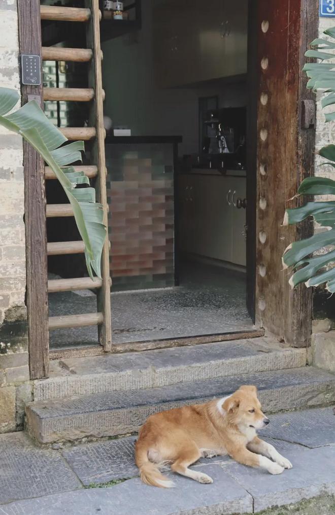 藏在广西深山的千年古镇,景美如画,特定时间免票!堪称人间仙境(图5) 黄姚古镇怎么去_广西黄姚古镇_免费门票古镇推荐