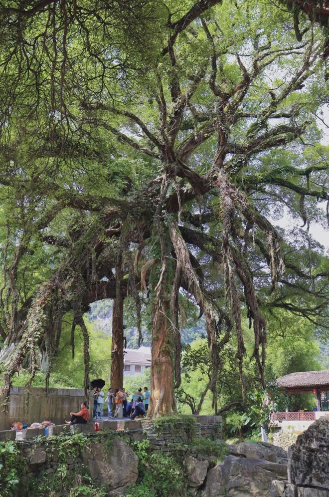 藏在广西深山的千年古镇,景美如画,特定时间免票!堪称人间仙境(图8) 广西黄姚古镇_免费门票古镇推荐_黄姚古镇怎么去