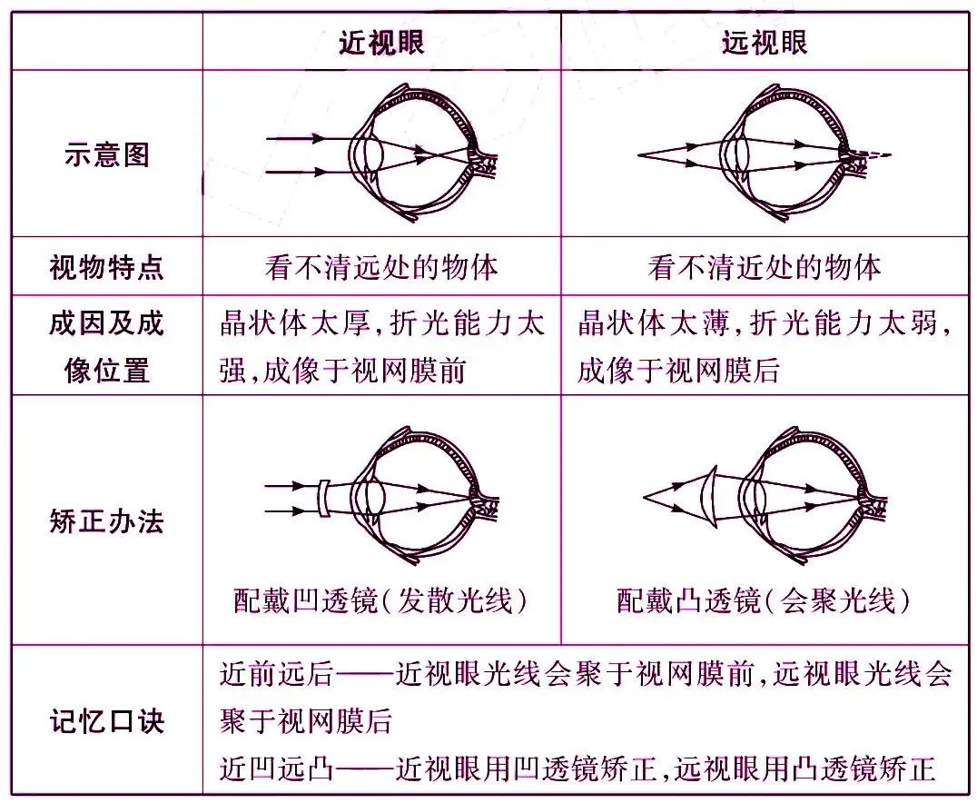 初中物理最重要的77个知识点梳理大全(图21) 机械运动参照物选取原则_运动状态判断示意图_物理常识大全
