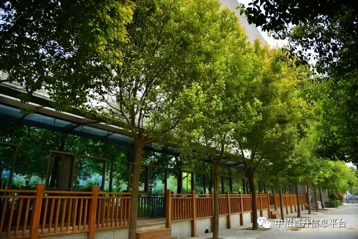 重点公办高中巡礼:郑州市实验中学(图3) 郑州12中高中部怎么样_惠济区开元路与文化北路交叉口高中_郑州市实验高中特色课程