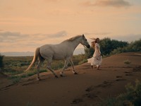 尼康D5100(图3) 13999元起!尼康ZR全画幅电影摄影机正式开售