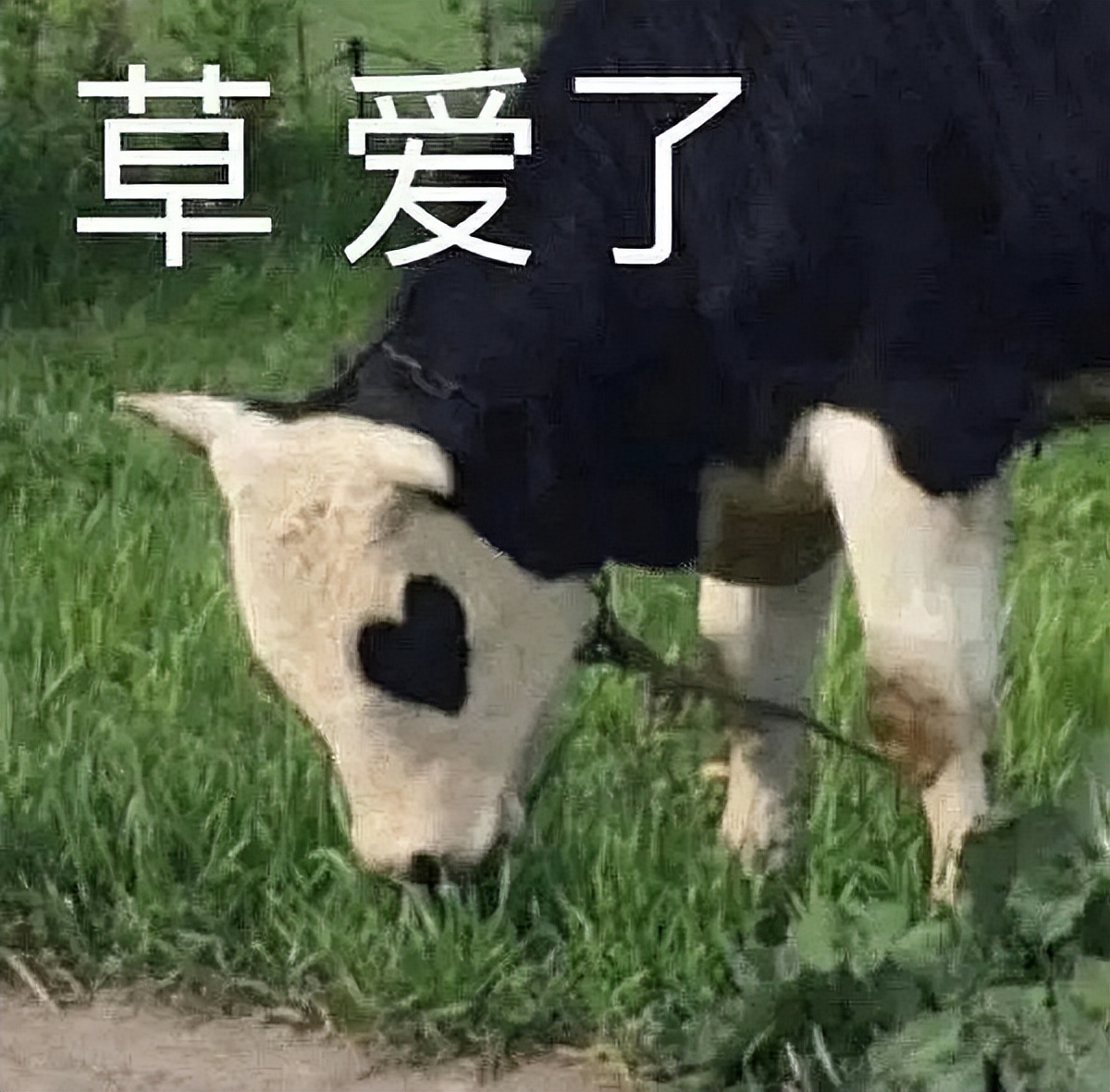 华为推出“系统云翻新”功能,旧手机能再战十年?(图10) 年轻人为什么不愿换手机了_华为系统云翻新_维亿数码港购 翻新