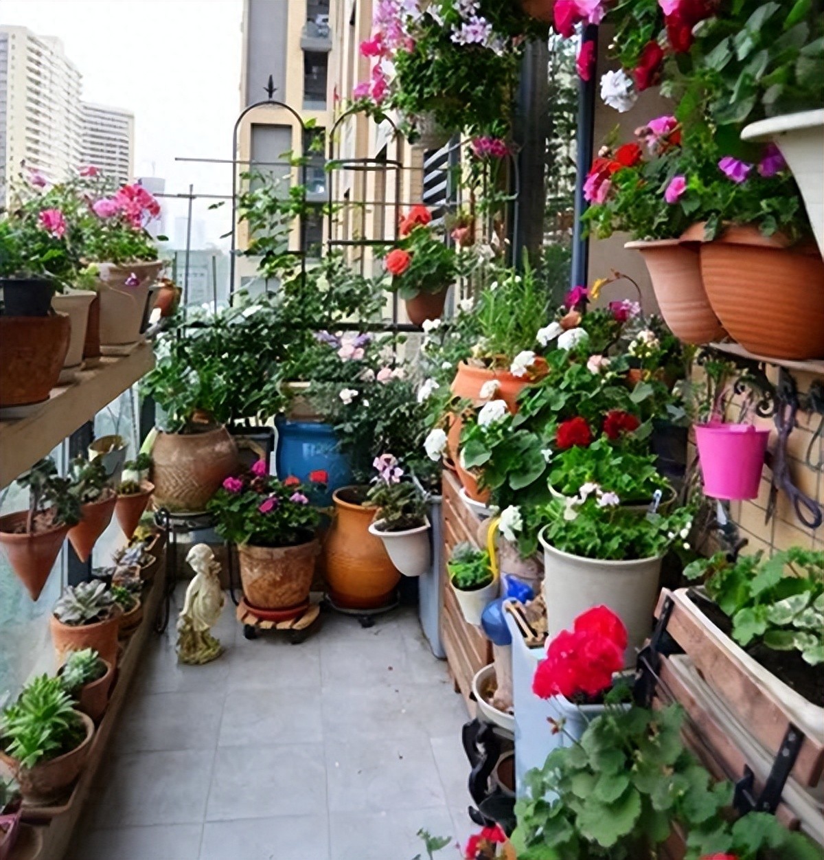 【网络力量】我是家乡代言人｜原创赏析：春满阳台