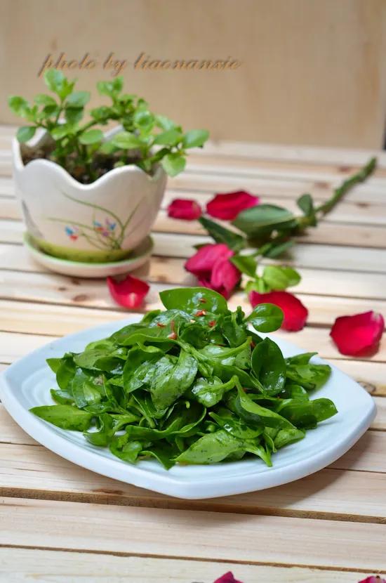 4种“美食肉”味鲜肉美,春季吃一点,有助身体健康(图3) 多肉美食做法 牡丹吊兰食用方法 芦荟做菜技巧_穿心莲盆栽养殖方法