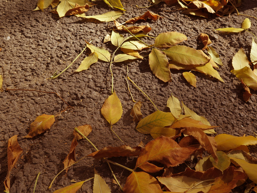 一门三杰 佳能G系列经典专业相机推荐(图6) G16