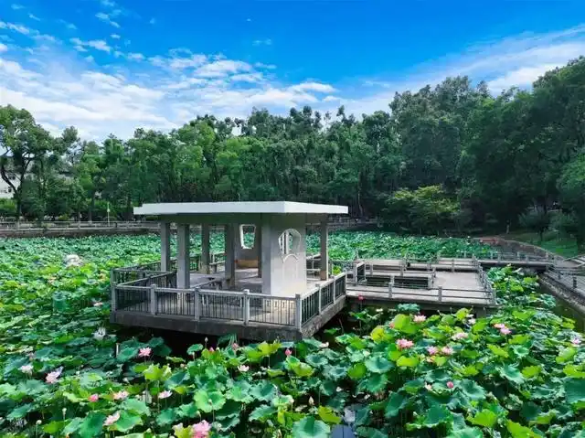 华科大暑假最全指南！