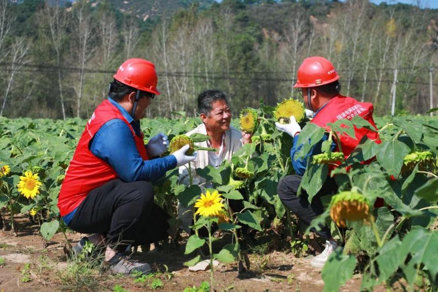 北京高速服务区超充站“上新”!假日用电购电指南请收好(图3) 图片