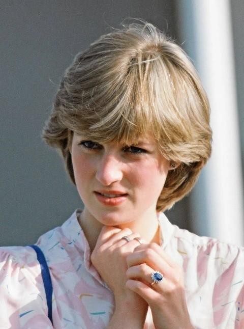 离婚后的戴安娜王妃,成为富豪圈里争抢的猎物,都想和她春风一度(图7) 戴安娜王妃身份标签_戴安娜和多迪怎么认识_戴安娜王妃与富豪关系