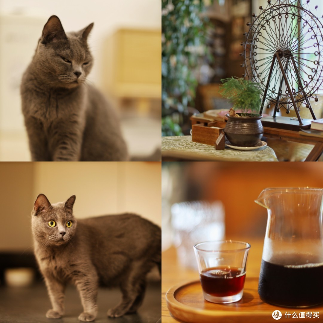 2025年,二手高性价比相机盘点(图6) 摄影器材入门_二手相机推荐_2025最好的长焦数码相机