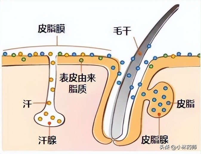 活久见,治好我脸上痘痘的竟然是避孕药!!!(图2) 长痘雄激素过高_复方珍珠暗疮片价钱_避孕药治疗痘痘作用机制