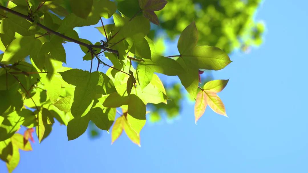 热热热,直冲37℃!上城73座城管驿站为你送清凉→(图2) 上城区空调维修_上城区城管驿站夏送清凉_杭州高温预警