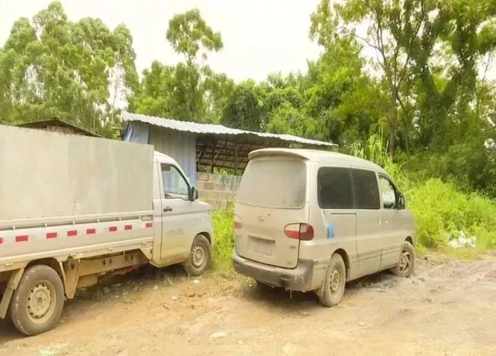 南宁查获共计20余吨冻肉！有的肉已经发臭……