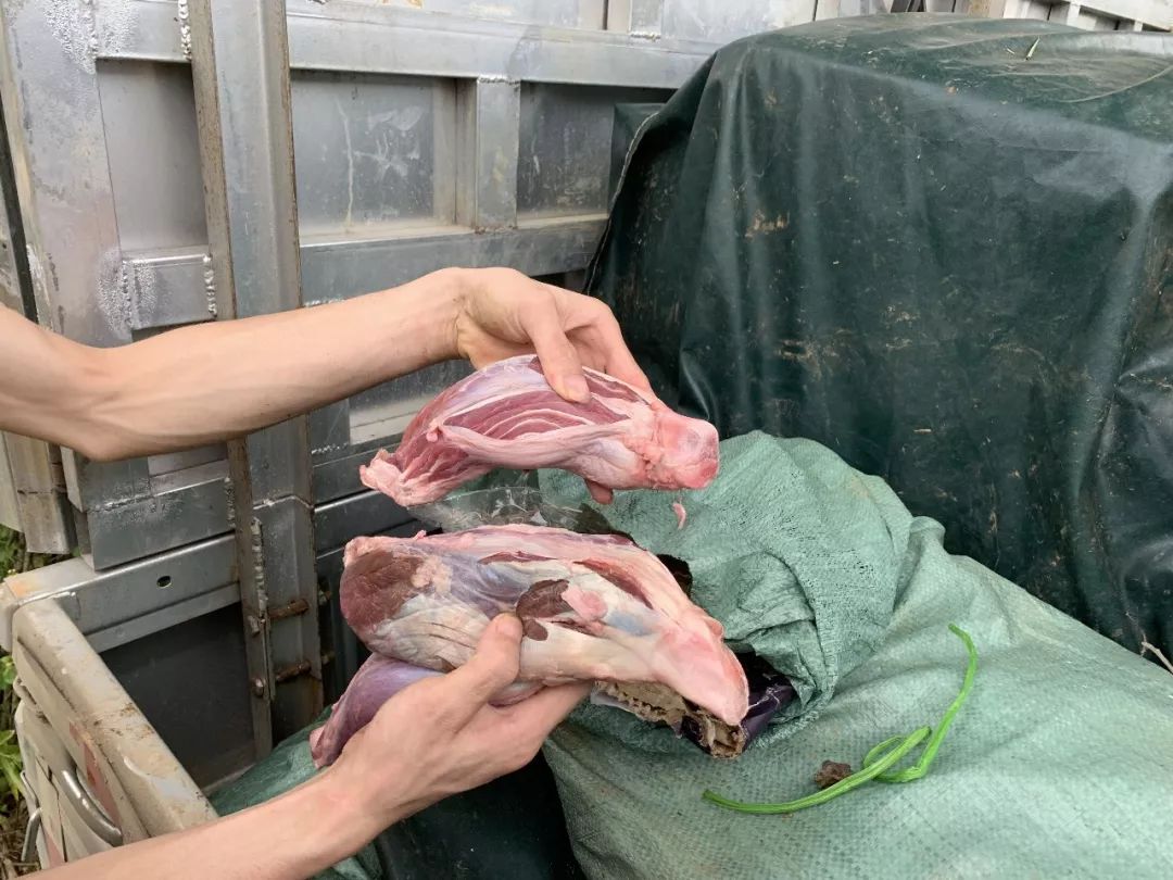 南宁查获共计20余吨冻肉!有的肉已经发臭……(图2) 兴宁区打私办 查获走私冻肉_改装面包车 走私冻肉运输_兴宁区面包车招工