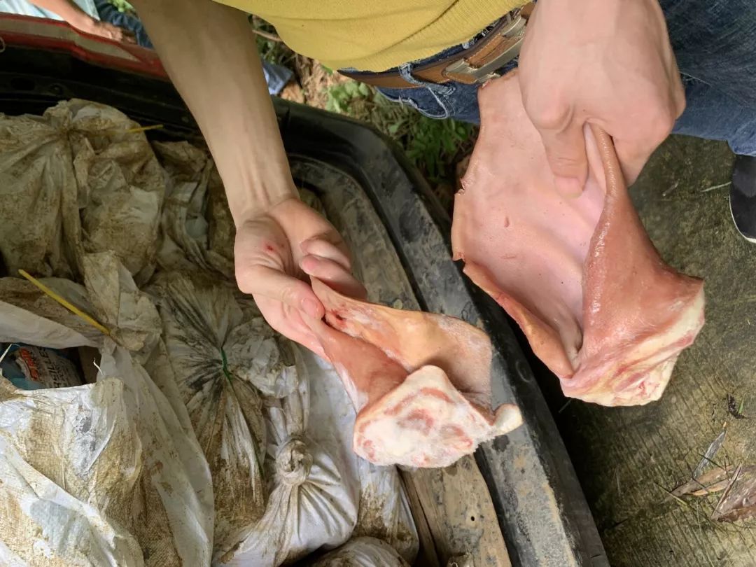 南宁查获共计20余吨冻肉!有的肉已经发臭……(图3) 改装面包车 走私冻肉运输_兴宁区面包车招工_兴宁区打私办 查获走私冻肉