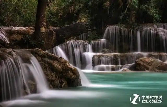 摄影爱好者必读 五种常见拍照技巧解析(图6) 虚化拍摄方法_手机摄影技巧_数码单反摄影技巧大全