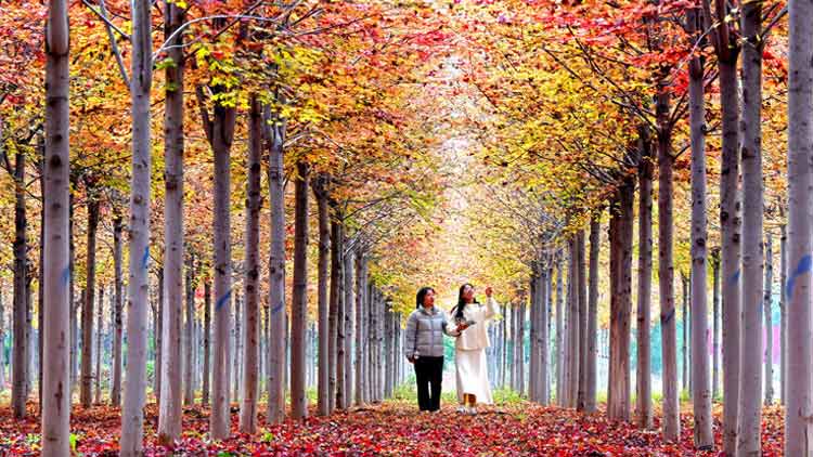 女子花8万多元定制家具,商家迟迟不交付,店铺已换名……(图5) 定制家具交付延迟 商家违约 顾客投诉_定制家具厂家