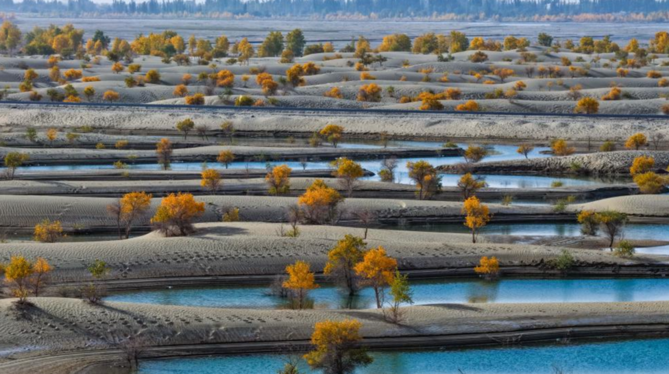 女子花8万多元定制家具,商家迟迟不交付,店铺已换名……(图10) 定制家具交付延迟 商家违约 顾客投诉_定制家具厂家