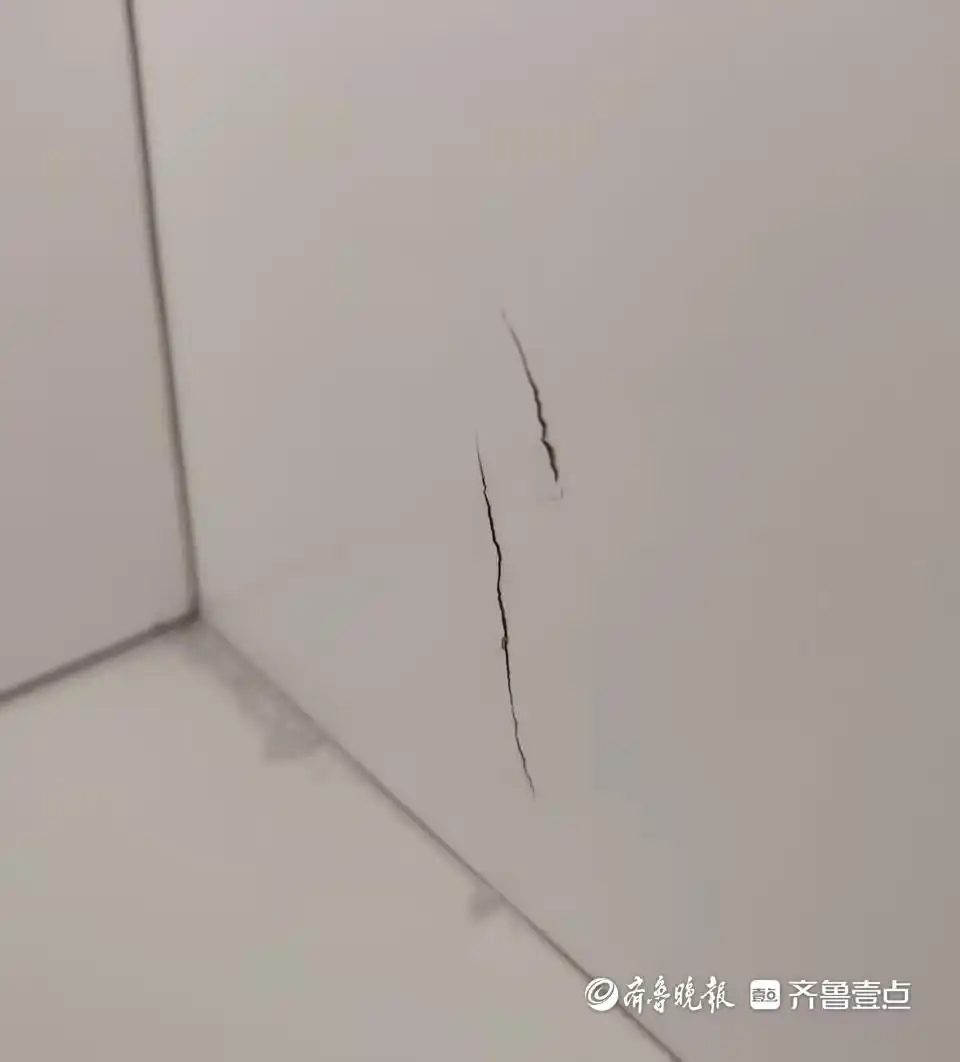 花52万购买全屋定制家具材质货不对板？商家：一种木材多种叫法