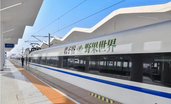 赣州义乌火车_赣州到杭州高铁时刻表_君子谷野果世界号高铁首发