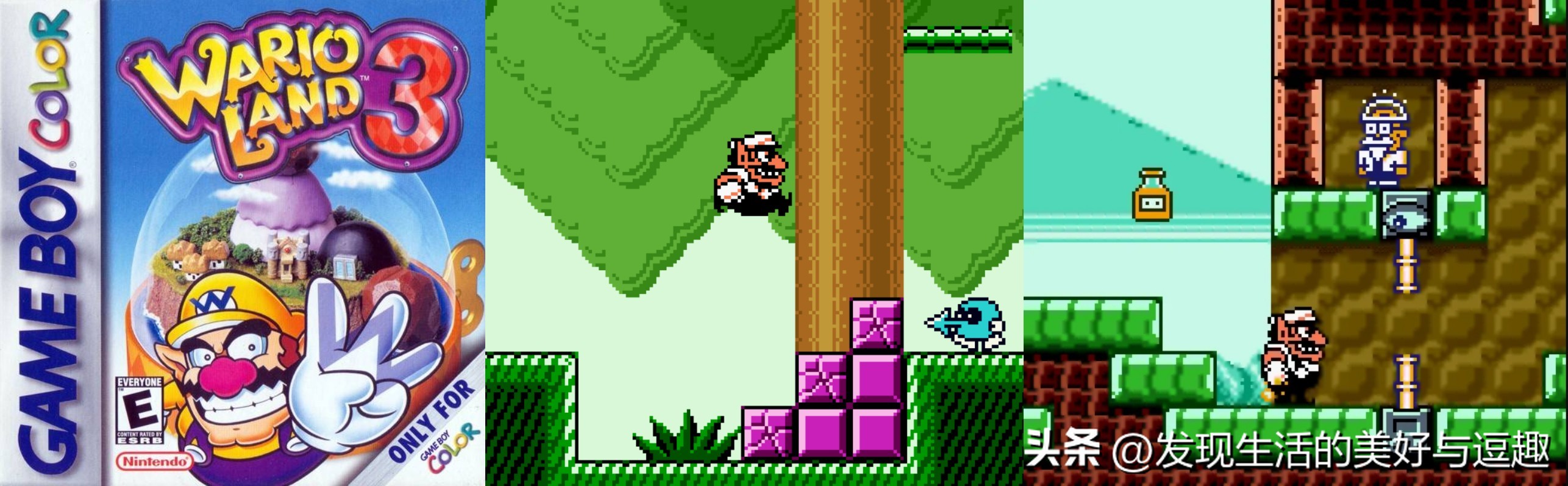 这款名为“前进”的后续掌机 未曾拥有却见证了它的辉煌(图11) 掌机模拟器体验_GBA掌机游戏回忆_数码格斗ps1