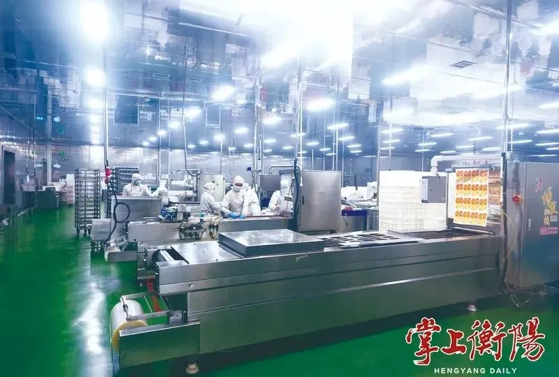 看祁东如何“逆袭”,农业大县成为工业强县(图3) 祁东县工业经济发展_祁东县智改数转企业案例_祁东租房子