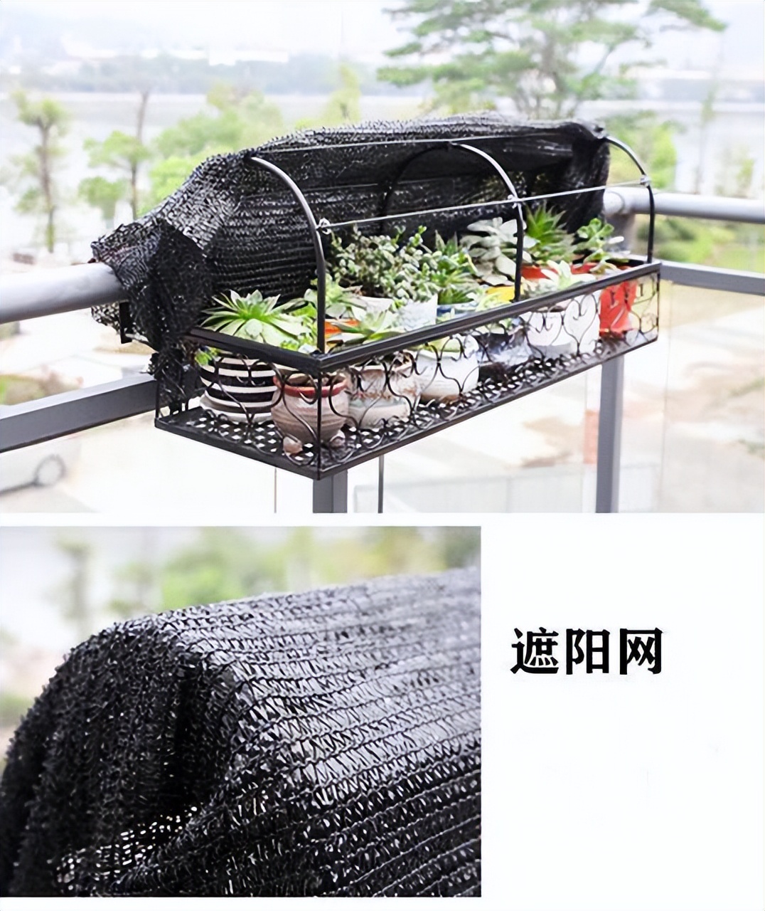 高层阳台外花架安全风险_阳台木花架_楼上养花影响楼下生活怎么办