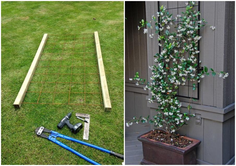 阳台木花架_DIY铁丝花架子_废旧铁丝制作花架教程