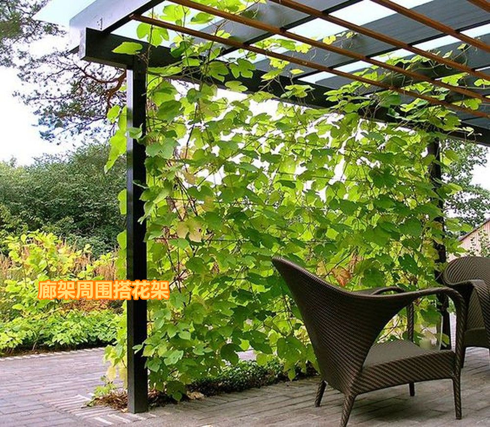 阳台木花架_废旧铁丝制作花架教程_DIY铁丝花架子