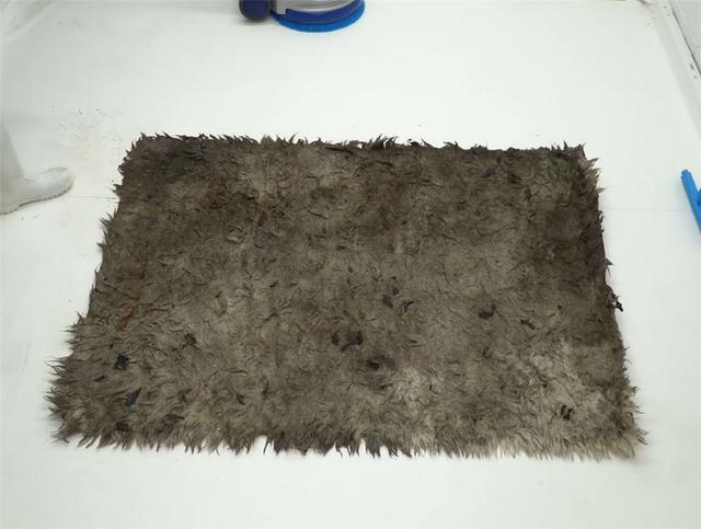 老哥清洗超脏地毯,将污损成黑色的地毯“变白色”,解压又治愈(图2) 地毯深度清洁步骤_清洗顽固污渍地毯_车黑色地毯烫