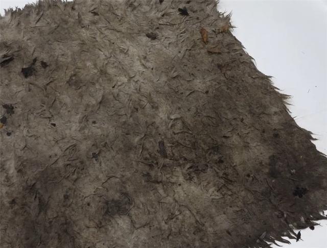 老哥清洗超脏地毯,将污损成黑色的地毯“变白色”,解压又治愈(图3) 清洗顽固污渍地毯_地毯深度清洁步骤_车黑色地毯烫