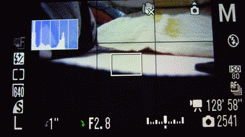 佳能500D使用技巧指南(图5) 佳能SX1 IS完全使用指南2