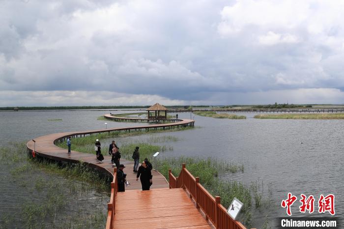 富锦国家湿地公园_富锦有机蔬果种植基地_三江平原农业