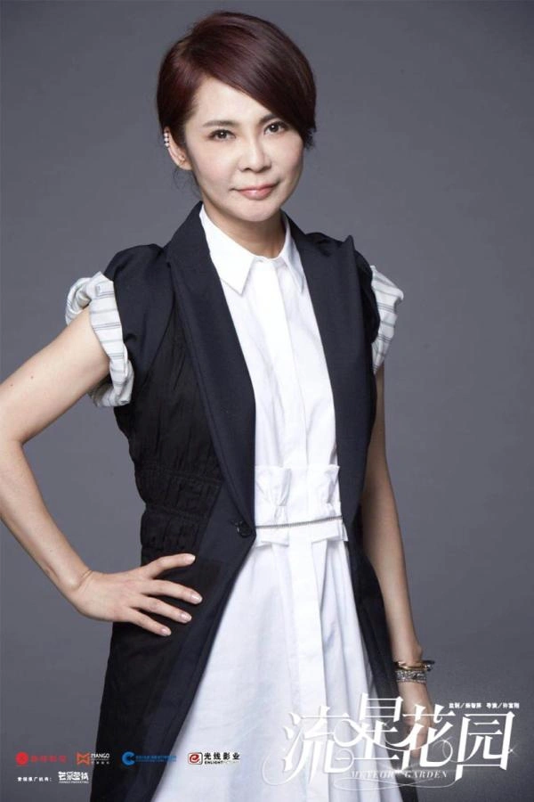 新版流星花园 柴智屏 王鹤棣沈月_日版流星花园怎么样