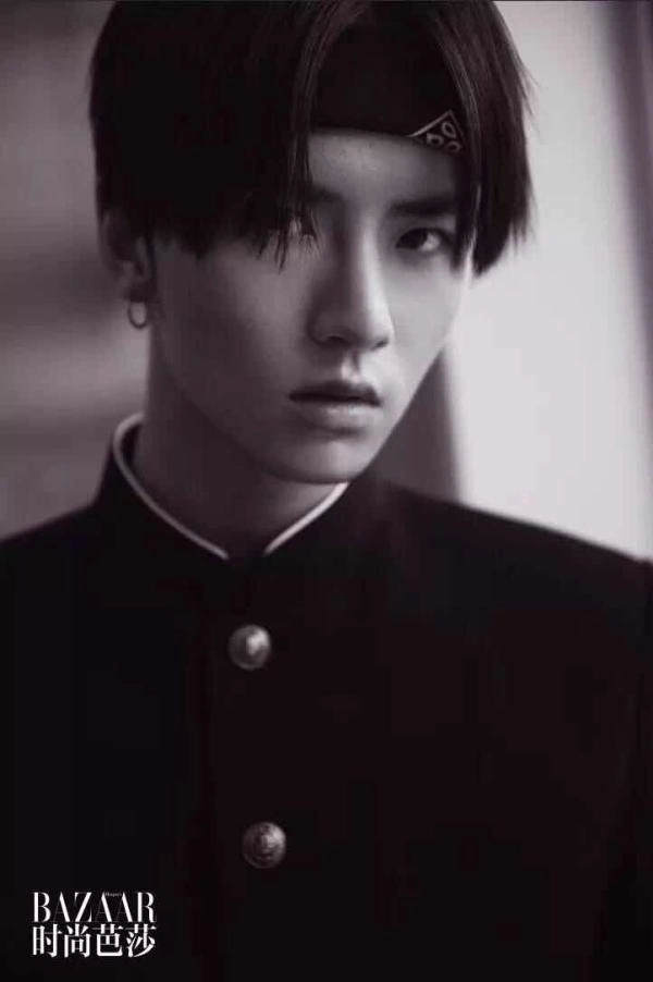 新版流星花园 柴智屏 王鹤棣沈月_日版流星花园怎么样