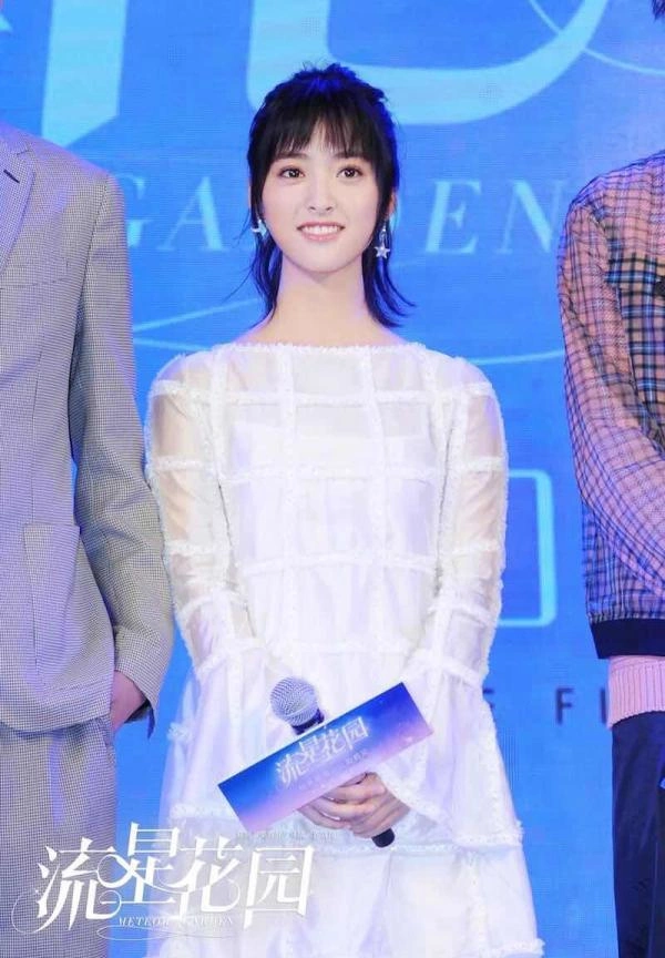 日版流星花园怎么样_新版流星花园 柴智屏 王鹤棣沈月