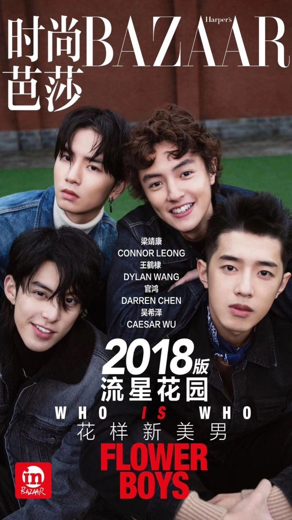 日版流星花园怎么样_新版流星花园 柴智屏 王鹤棣沈月