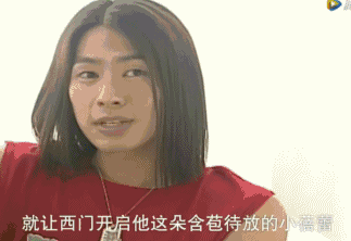 《流星花园》二十年 二十年前《流星花园》的国民度 二十年前《流星花园》的经典台词_日版流星花园怎么样