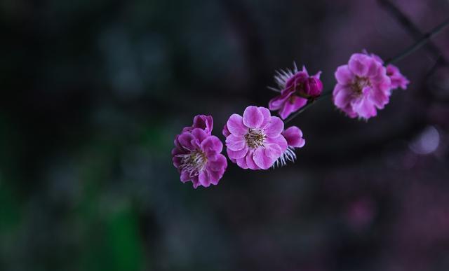 喜欢把“谢谢”挂在嘴边的人,往往是这3种人(图2) 大脑神经连接改变感恩_人家说thank you怎么回答_认真说谢谢的人活得特别轻