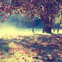 液晶显示器屏幕出现多条亮线怎么处理